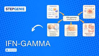 Ifn - Gamma