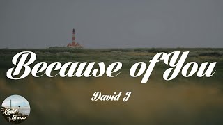 David J - Because of You (Lyrics)