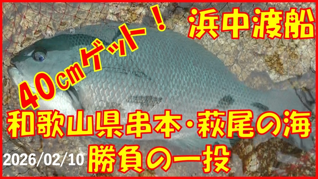 2026/02/10 和歌山県串本町潮岬・萩尾【グレ釣り】(浜中渡船) 釣れたらいいね！なんちゃんチャンネル
