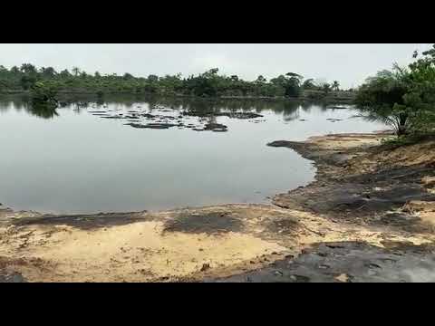 Ogoniland Used to Be an Ecological Sanctuary, but Now a Shadow of Itself