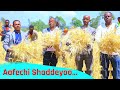 Aafechi Shaddeyoo Deechi Dubbiyooch Kafi Televizhiino ካፋ ቴሌቪዥን Kaffa Television