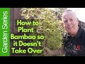 How to Plant Bamboo so it Doesn