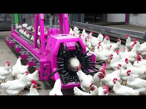 Most Satisfying Factory