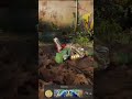 He got me just in time!😎 | #arched_phoenix on #Twitch
