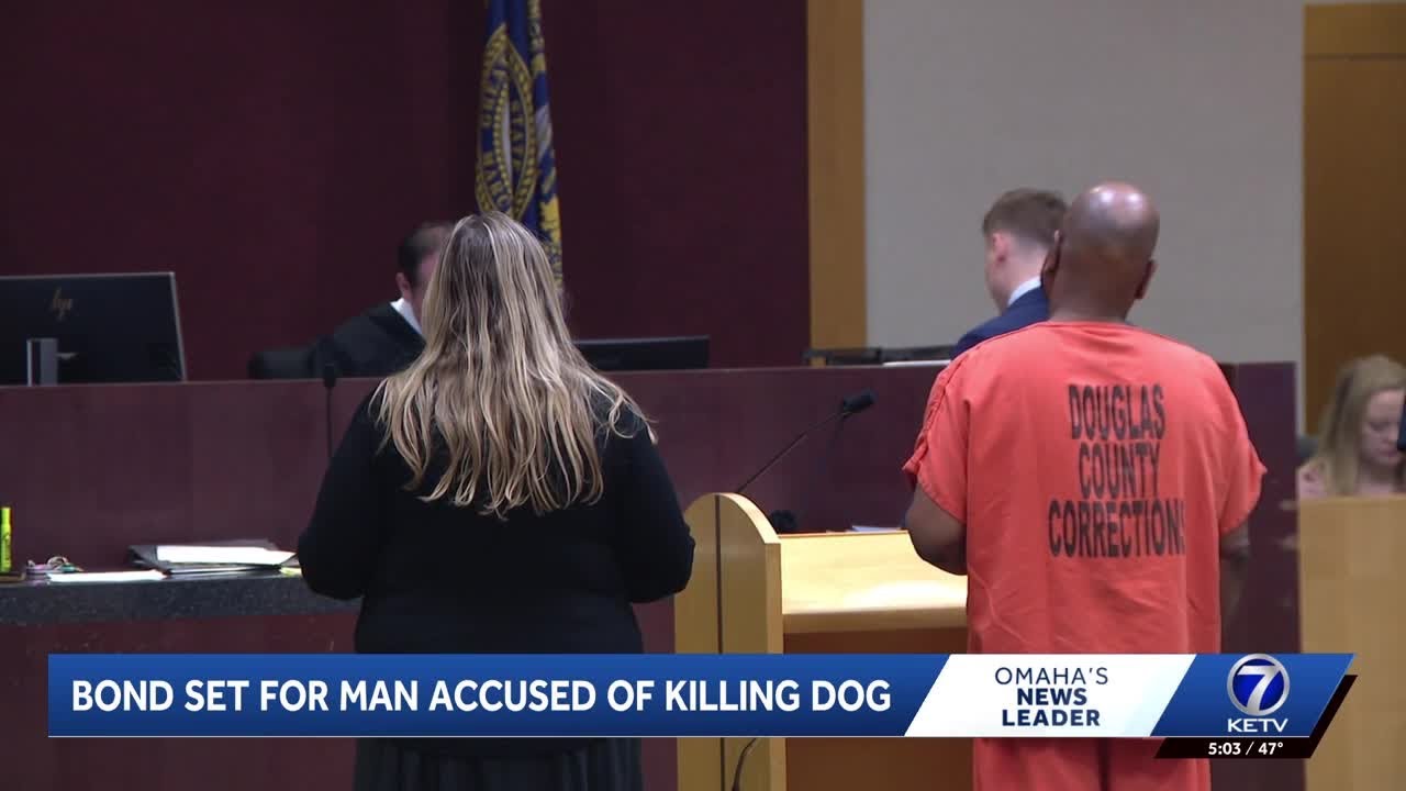 Man accused of killing dog faces judge as bond is set - YouTube