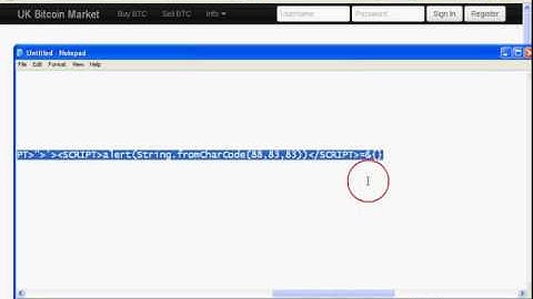 Bit Bargain Cross SIte Scripting By Ashish Pathak