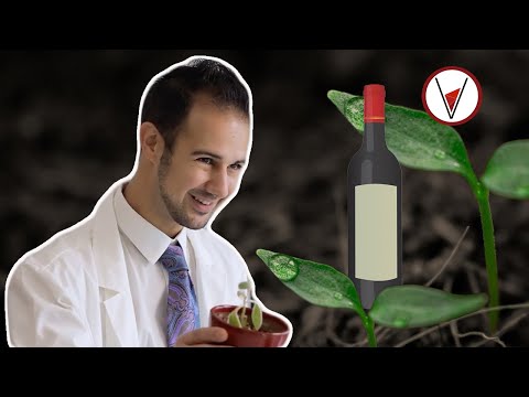 How Does Soil