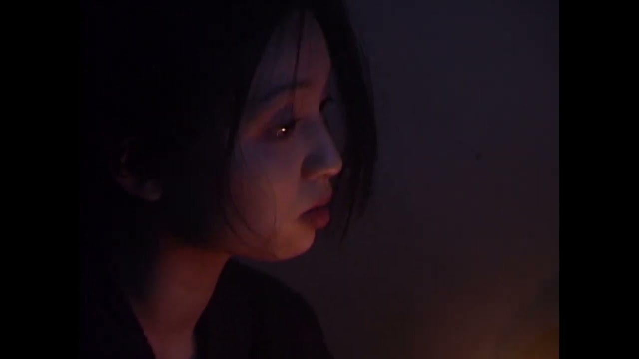 YANJIA ZHANG — EXTRAITS — « Hard to Meet, Hard to Part »