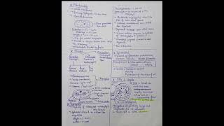Cell &amp; Cell cycle notes for neet.Music: Bay BridgeMusician: mr. hong (from Audiio).