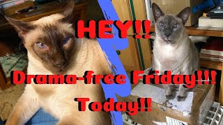 Drama-free Friday LIVE! - 11-17-2023 - with Barb