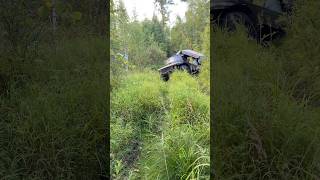 #БОЛОТОХОД #ЛЕС #приключения