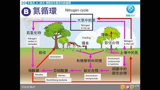 WKC S.5 Bio lesson Ch.20 20200324 part F