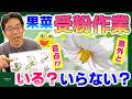 【家庭菜園】果菜類には受粉作業が必要？花の形状を解説！【ナス科・ウリ科】