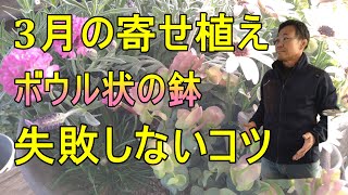 [ガーデニング] 3月の寄せ植え～年間100個の寄せ植えを作るプロガーデナーが実演・解説する失敗しない寄せ植えの作り方