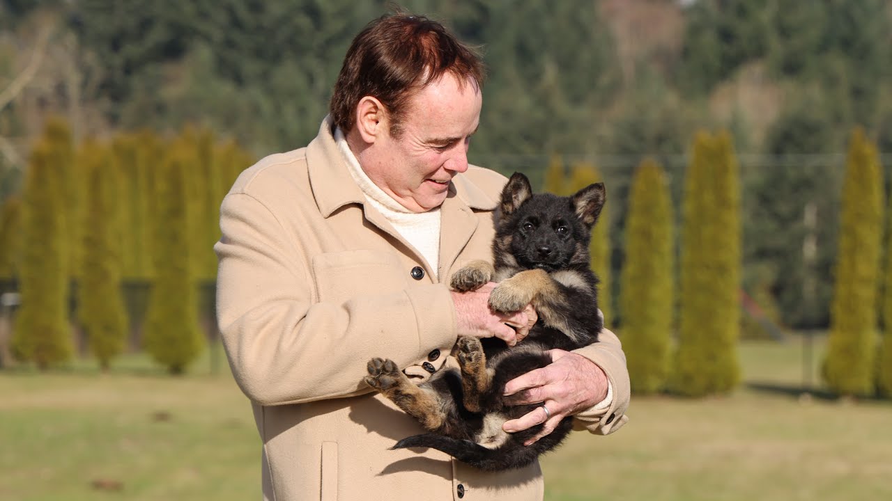 Watch This Playful Pup Show Off Her Impressive Drive! | Kraftwork K9 Pro