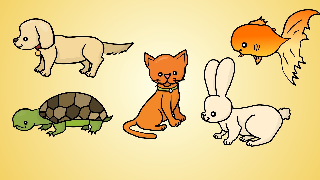 Draw Five: How to Draw Pets - YouTube