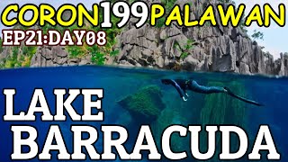 Coron Palawan 2020 | Barracuda Lake | EP21:DAY08