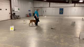 Rally practice March 25, 2021 Cheryl & Rocky