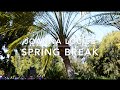 Spring break vlog  part 1  california adventures