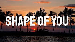 Video thumbnail of "Ed Sheeran - Shape of You (Lyrics)"