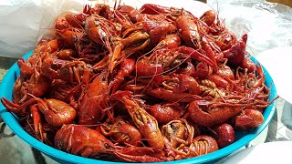 Crawfish Dirt Cheap 2020