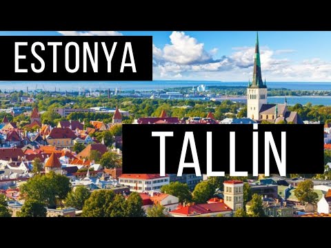 Estonya Tallin Gezi Notları