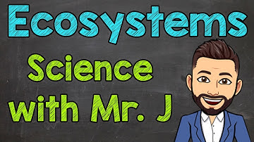 Ecosystems | What is an Ecosystem?