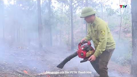 Chủ động ngăn chặn nguy cơ cháy rừng trong mùa nắng nóng