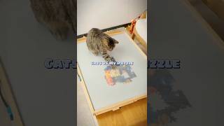 Do your cats destroy your puzzles too? 🐱🧩 screenshot 2