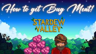 Stardew Valley How to get Bug Meat