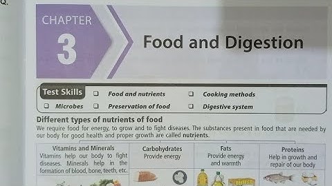 CLASS 4 SCIENCE OLYMPIAD | CHAPTER 3 FOOD AND DIGESTION | THEORY AND PRACTICE QUESTIONS