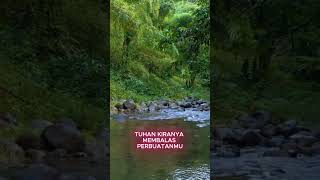 ayat harian kamis 23 april 2026 rut 2:12