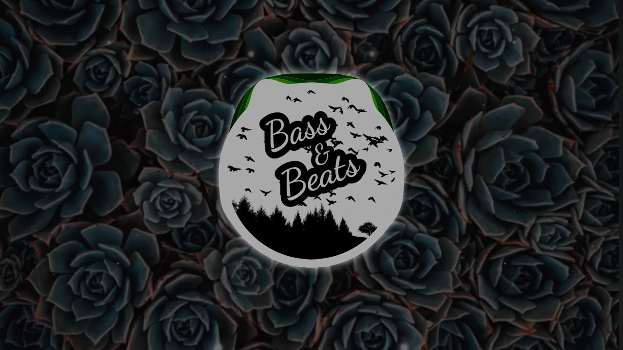 Pusher Clear Ft Mothica Shawn Wasabi Remix Bass Boosted YouTube