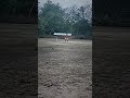 Powerful shoot by laxmikanta shorts cricket viralshorts criketshorts viratkohliviral