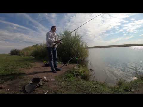 Караганда 03.09.2020 Немецкие