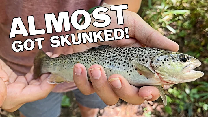 Almost Got Skunked on the Saluda | E1