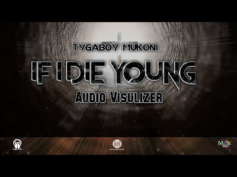 Tygaboy Mukoni - If I die young (Audio Visualizer)