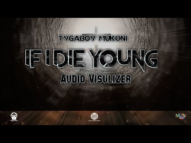 Tygaboy Mukoni - If I die young (Audio Visualizer) class=