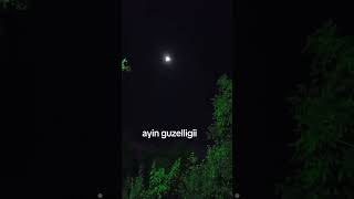 Ayin Guzelligii