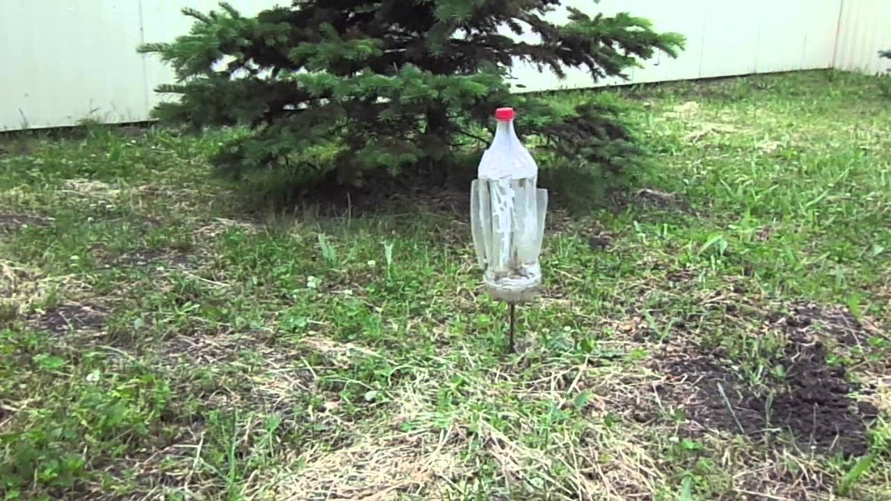 Пластиковая бутылка от кротов. Вертушка от кротов. Вертушки из бутылок пластиковых для сада. Отпугиватель от кротов из пластиковой бутылки. Вертушка из бутылок в сад.