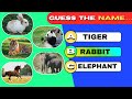 Guess The Animal By Emoji 🦒🐒🦜| ANIMAL Name Challenge | Quiz Global