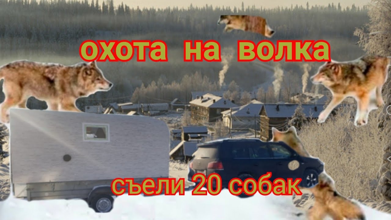 Волк съел луну