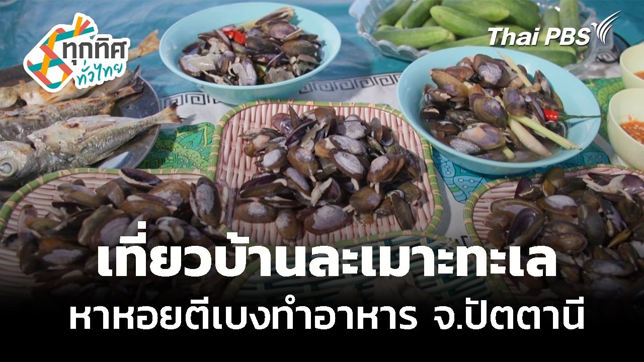 เที่ยวบ้านละเมาะทะเล หาหอยตีเบงทำอาหาร จ.ปัตตานี | ทุกทิศทั่วไทย | 21 ก.ค. 69