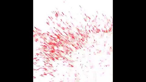 Codea particle engine - modified