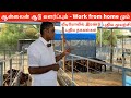 Future goat  farming 2024 work from home 