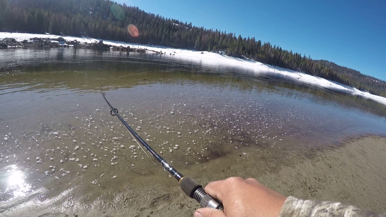 Huntington lake trout fishing YouTube