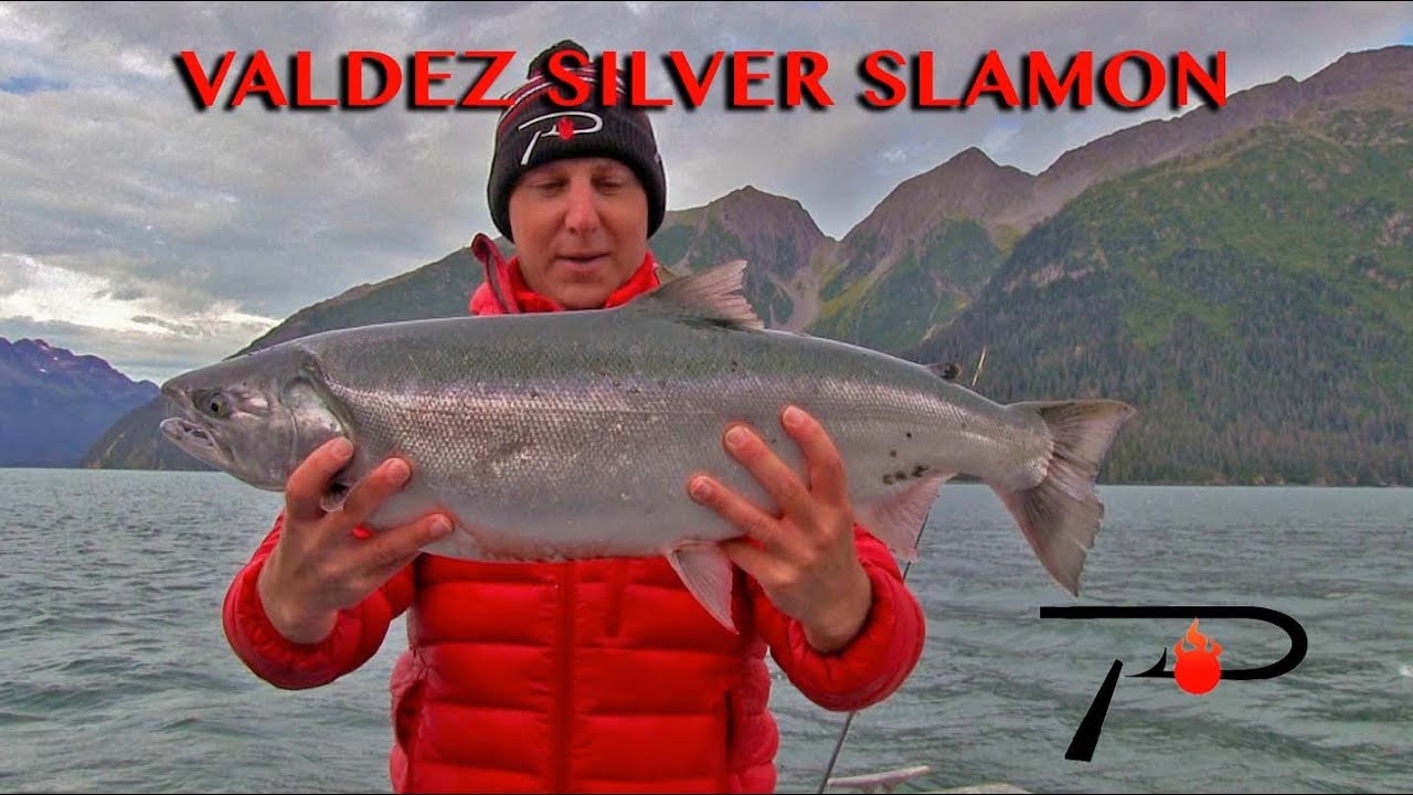 Salmon Fishing Valdez Alaska - YouTube