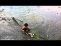 Guy Wades into Flood Waters to Save Drowning Puppy