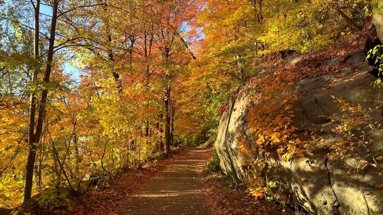 The Enchanting Beauty of Fall Hiking in Cold Spring, New York_4K_