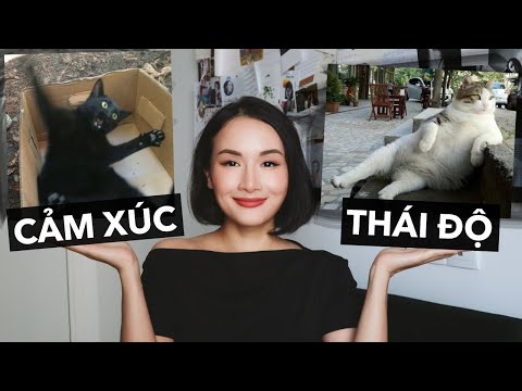 Video: Làm thế nào để thể hiện cảm xúc của bạn (với hình ảnh)